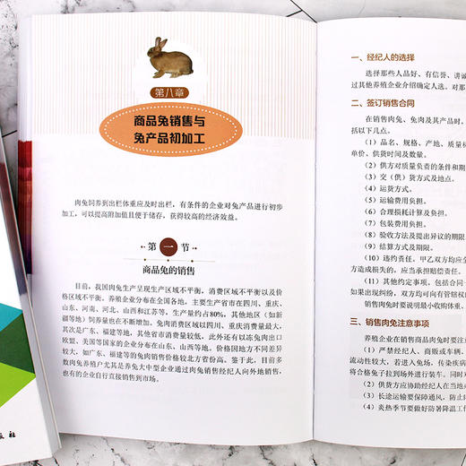 肉兔70天出栏配套生产技术 商品图9