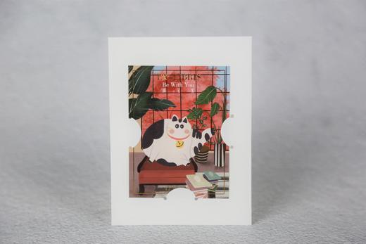 DK英国皇家园艺学会家居植物实用百科 商品图1