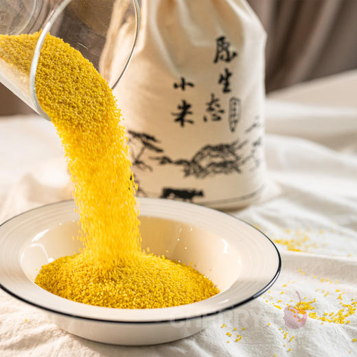 2025年秋季新米 沂蒙山农家手工石碾小米   圆通中通/顺丰 商品图4