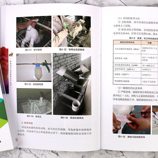 肉兔70天出栏配套生产技术 商品图7