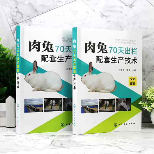肉兔70天出栏配套生产技术 商品图1