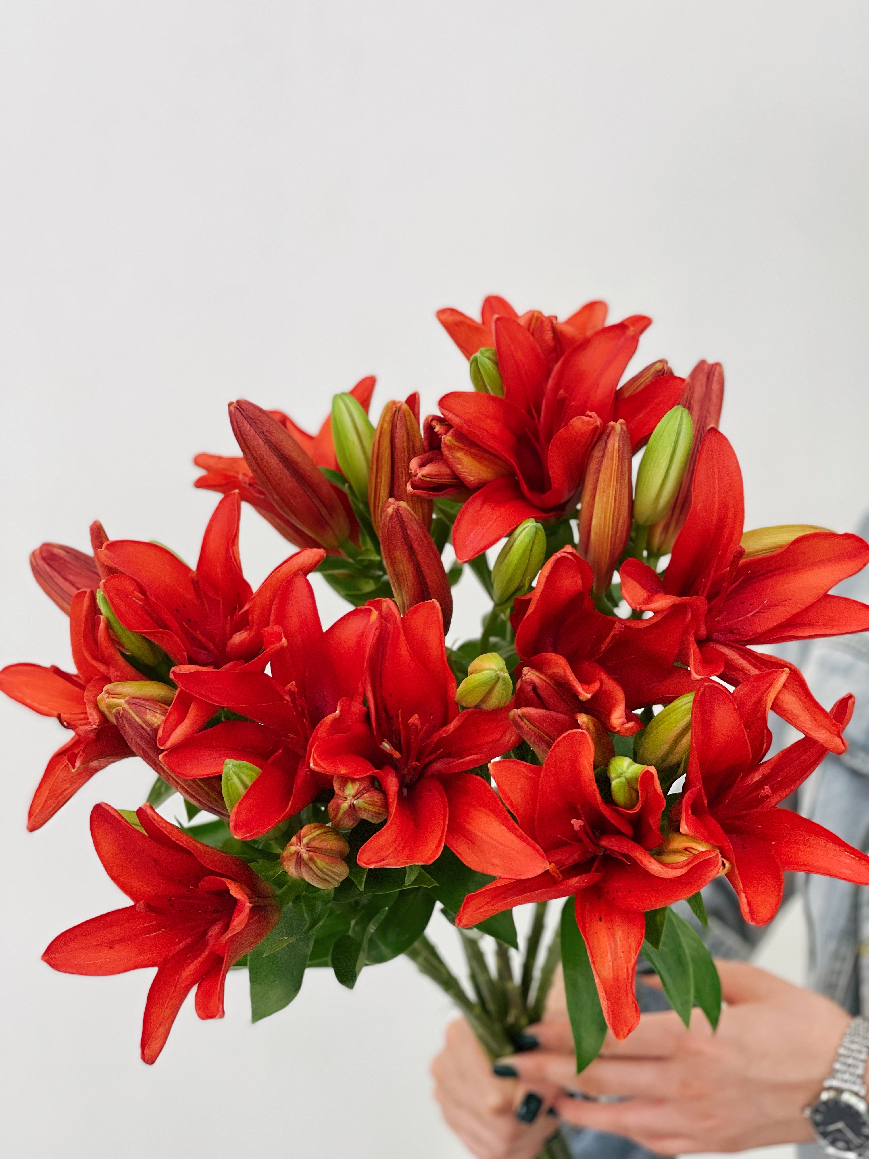 【周四秒杀】亚百合红宝石4枝59.8元