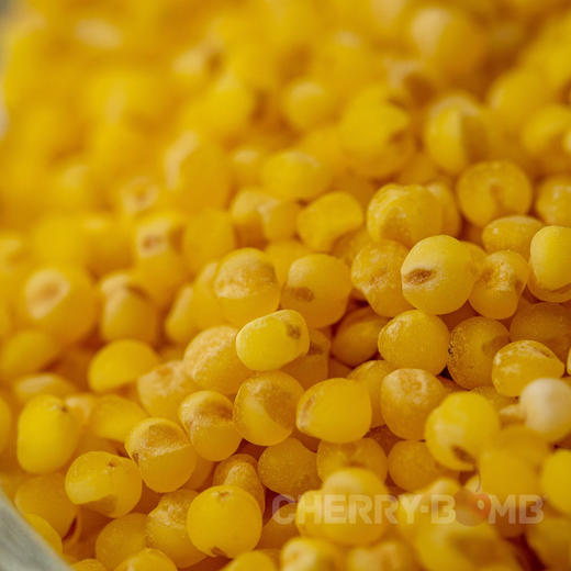 2025年秋季新米 沂蒙山农家手工石碾小米   圆通中通/顺丰 商品图9