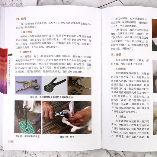 肉兔70天出栏配套生产技术 商品图8