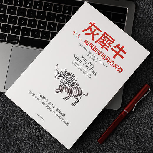 灰犀牛2：个人、组织如何与风险共舞 【美】米歇尔·渥克 著 刷新风险意识 明辨风险指纹 应对复杂局面 经管通俗读物 商品图3