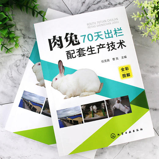 肉兔70天出栏配套生产技术 商品图3