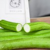 【蔬】长丝瓜 1根约350g 商品缩略图6