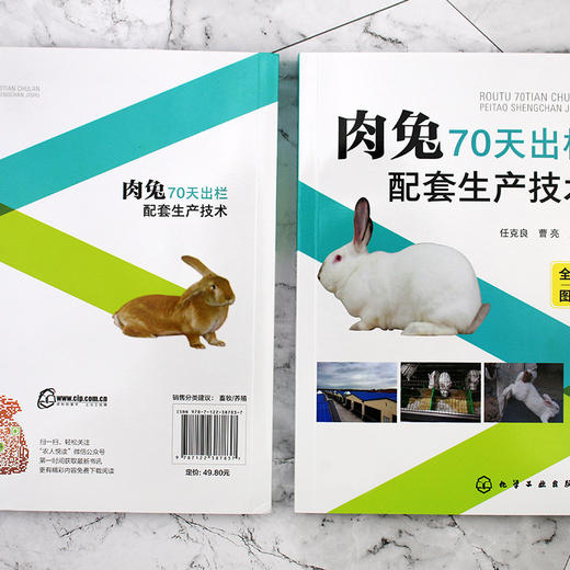 肉兔70天出栏配套生产技术 商品图2