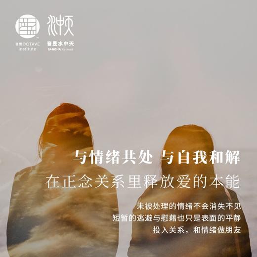 音昱·量子领导力系列课程 - 正念情绪/关系之旅 商品图0
