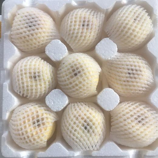 [最农公社]烟台黄金奶油富士苹果5斤9斤来自核心产区 商品图7