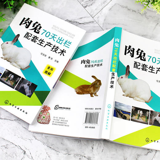 肉兔70天出栏配套生产技术 商品图4