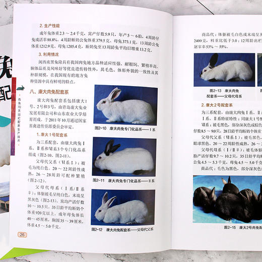肉兔70天出栏配套生产技术 商品图6