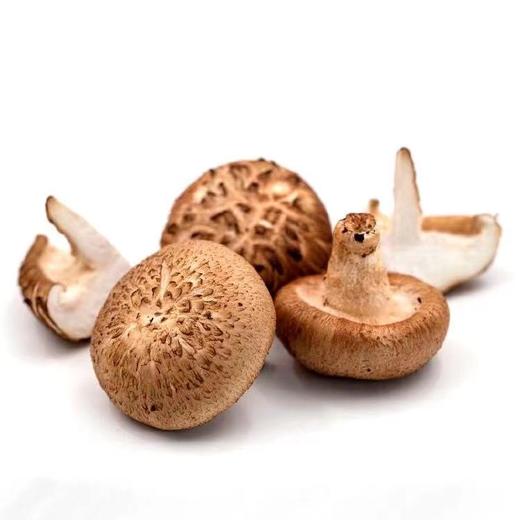 【蔬】鲜香菇 商品图1