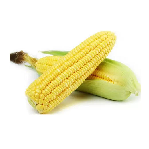 甜玉米 500g 商品图0