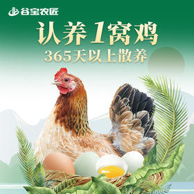 认养一窝鸡（3只土鸡+330枚土鸡蛋）