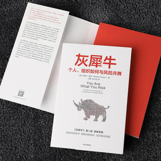 灰犀牛2：个人、组织如何与风险共舞 【美】米歇尔·渥克 著 刷新风险意识 明辨风险指纹 应对复杂局面 经管通俗读物 商品图2