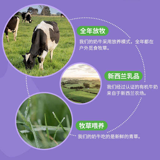 HNMG 澳洲Bubs贝儿有机草饲婴幼儿配方牛奶粉1段800g 商品图1