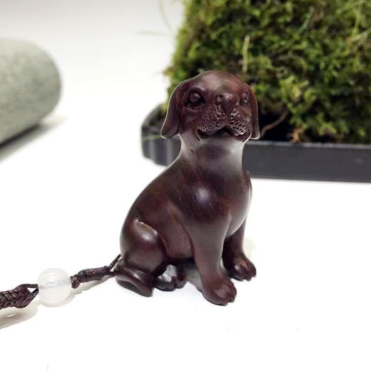 狗 小叶紫檀 商品图1