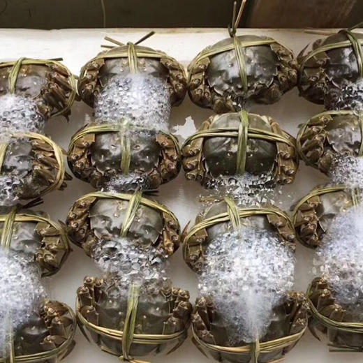 【吃蟹季】（去年爆款）固城湖大闸蟹（一半公蟹一半母蟹） 商品图6