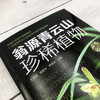 翁源青云山珍稀植物 商品缩略图2