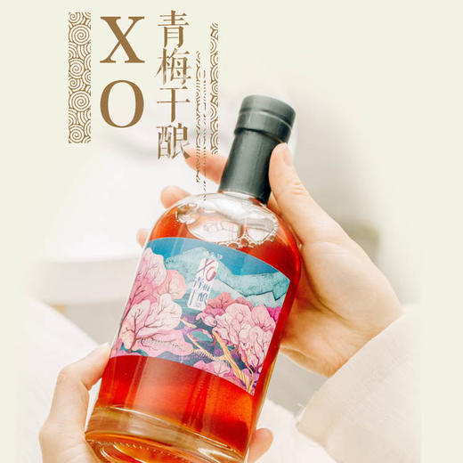 【预定】XO青梅干酿600g@猫先知 商品图1