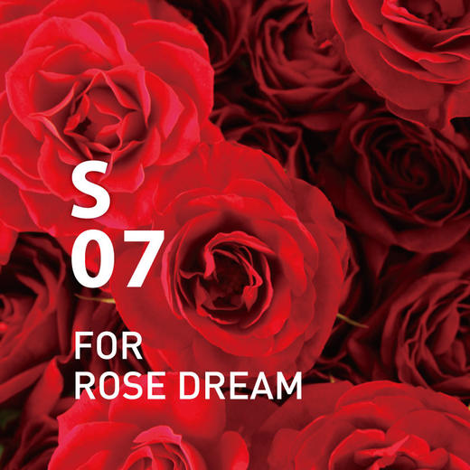 日本@aromaS07 FOR ROSE DREAM  梦乡香氛自然 商品图2