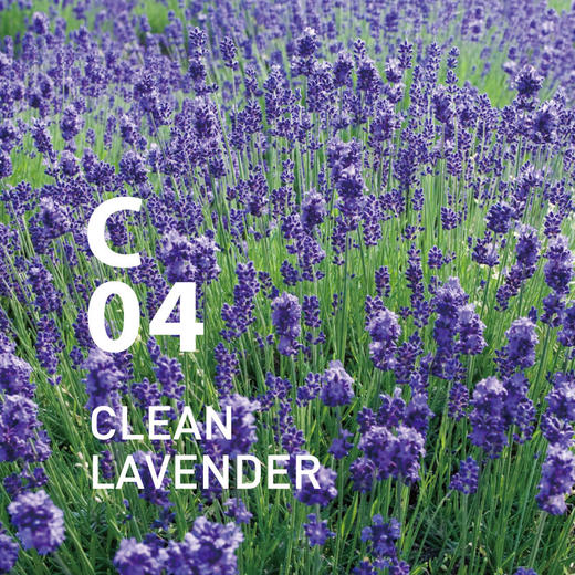 日本@aromaC04 CLEAN LAVENDER 薰衣草香氛自然 商品图2