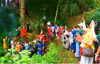 皇妆集团-湖南复新龙脑农业科技发展有限公司 商品图1