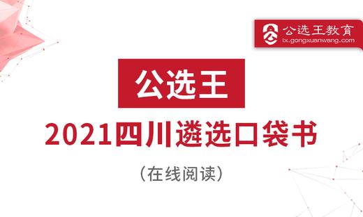 八、写作范文 调研报告&活动总结 商品图0