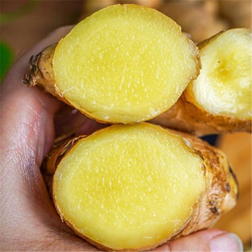 【蔬】精品老姜 商品图4