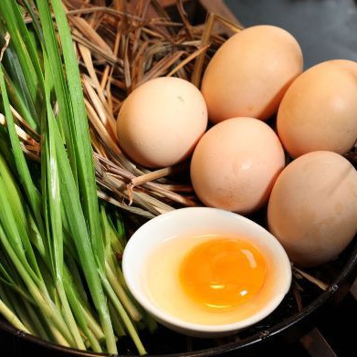 【每周配送1次】华禾绿源 20枚装有机土鸡蛋 月季年套餐 广东省内包邮