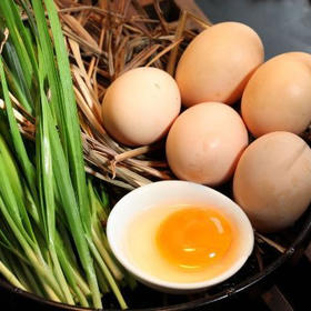 华禾绿源 20枚装有机土鸡蛋 月季年套餐 广东省内包邮