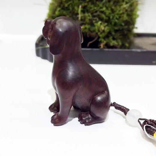 狗 小叶紫檀 商品图3