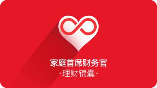 入门秘籍，让家庭财务井井有条【家庭理财锦囊-4】*佳慧 商品图0