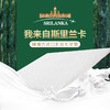 富安娜斯里兰卡七区天然乳胶软垫\5cm\白\106 商品缩略图0