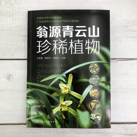翁源青云山珍稀植物 商品图1