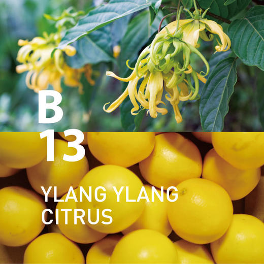 日本@aromaB13 YLANG YLANG CITRUS 依兰柑橘香氛自然 商品图2