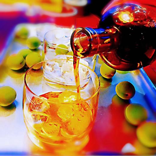 【预定】XO青梅干酿600g@猫先知 商品图4