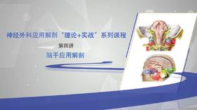 神经外科应用解剖“理论+实战”系列4：脑干应用解剖