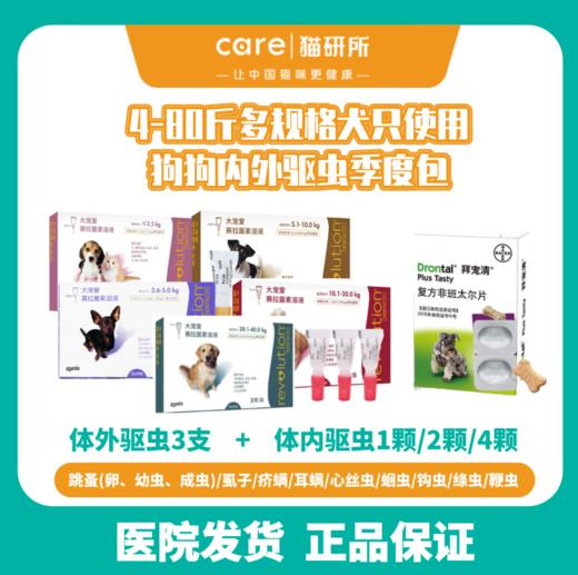 体重2 40公斤犬用狗狗适用大宠爱 拜宠清狗狗季度内外驱虫套餐金毛泰迪小型中型大型犬跳蚤 虱子 疥螨 耳螨 心丝虫 蛔虫 钩虫 绦虫 鞭虫