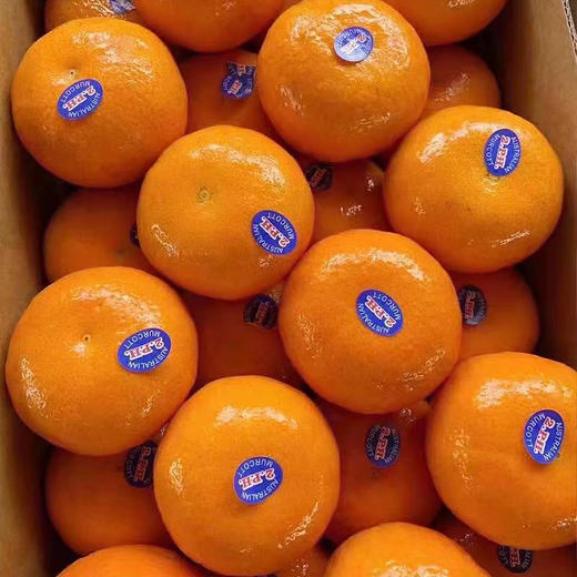 进口2PH澳柑 甜蜜多汁橘子桔子  柑橘子 商品图6