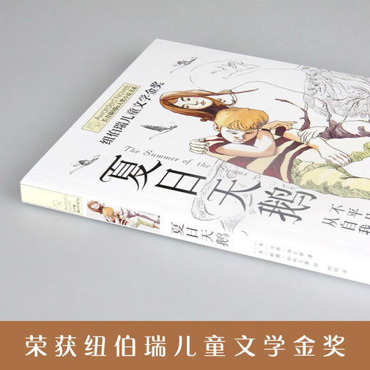 夏日天鹅   4年级正版现货速发|名师推荐|小学生课外阅读四年级 商品图1