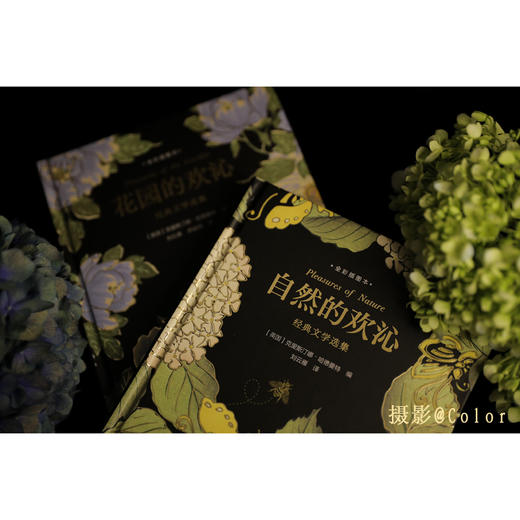 《自然的欢沁》《花园的欢沁》经典文学选集（全彩插图本） 商品图10