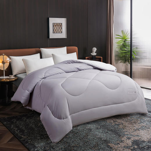 愉悦之家柔暖蓬蓬被 商品图1