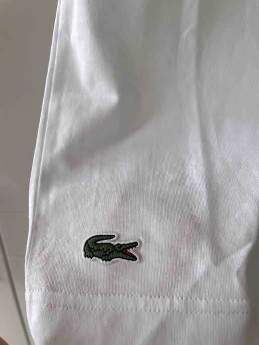 衬衫内搭伴侣，法鳄正品白色字母T恤 原专柜价690 商品图3