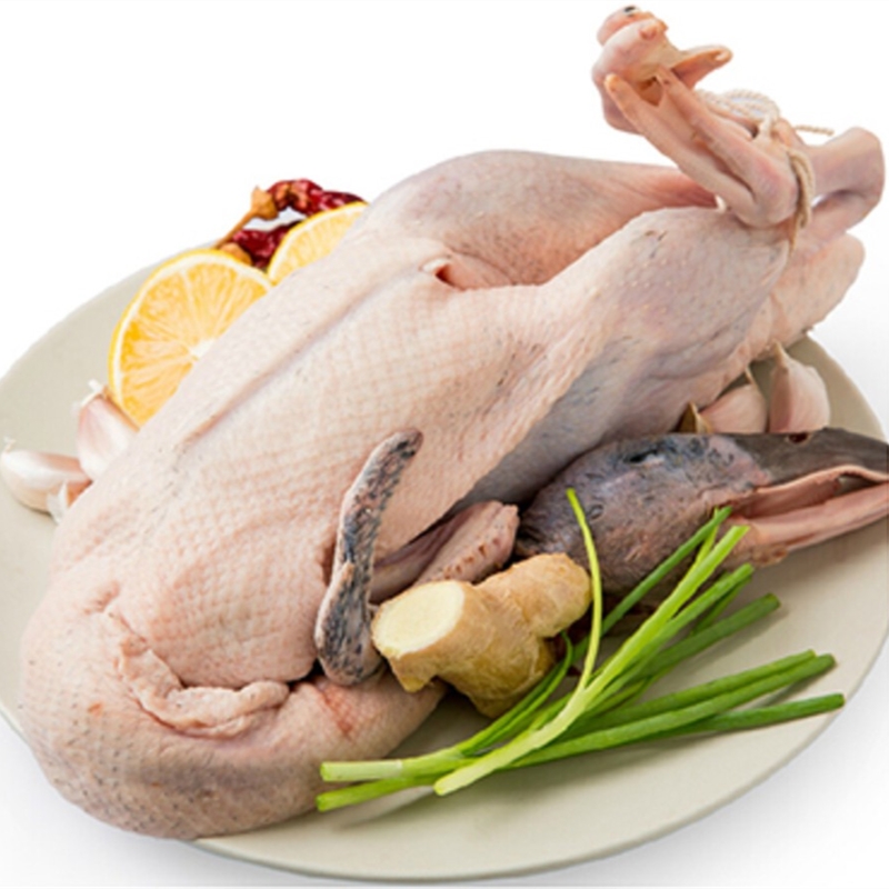 华禾绿源 生态水麻鸭 月季年套餐 广东省内包邮