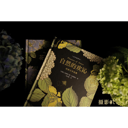 《自然的欢沁》《花园的欢沁》经典文学选集（全彩插图本） 商品图2