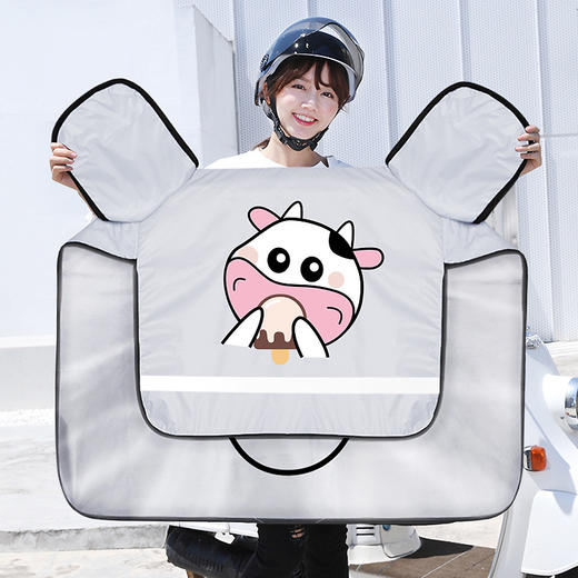 【日用百货】夏季防晒遮阳防水电动车挡风被 商品图1