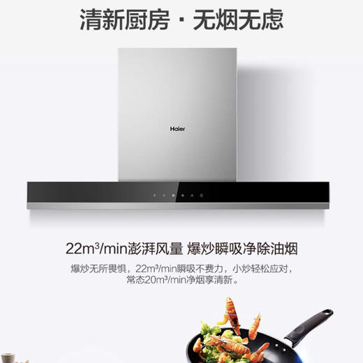 海尔（Haier）烟机CXW-219-T8901 商品图2