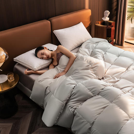 愉悦之家 Silence错层锁温混合羽绒被 春秋 商品图3